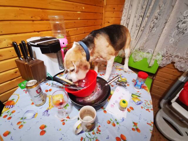 https://upforme.ru/uploads/0000/1c/6a/2044/54001.jpg