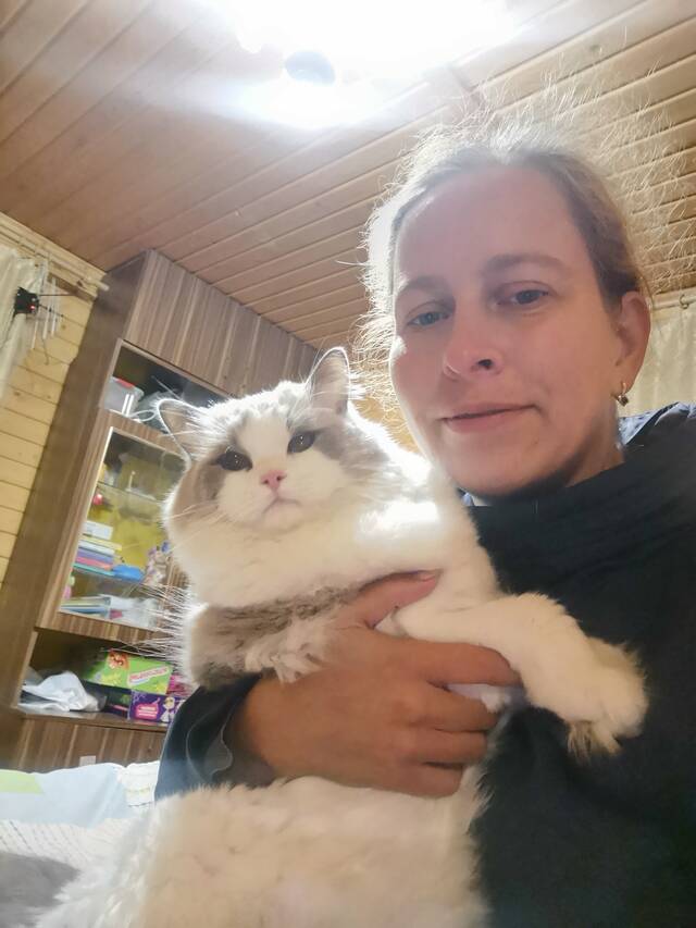 https://upforme.ru/uploads/0000/1c/6a/2044/969747.jpg