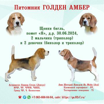https://upforme.ru/uploads/0000/1c/6a/2372/t127208.jpg