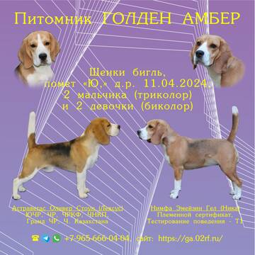 https://upforme.ru/uploads/0000/1c/6a/2372/t377076.jpg