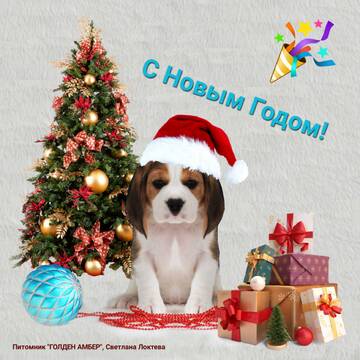 https://upforme.ru/uploads/0000/1c/6a/2372/t38465.jpg