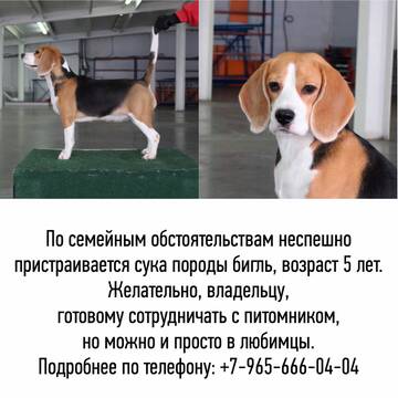 https://upforme.ru/uploads/0000/1c/6a/2372/t758539.jpg