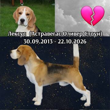 https://upforme.ru/uploads/0000/1c/6a/2372/t946949.jpg