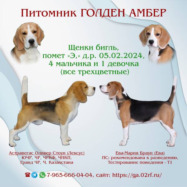 https://upforme.ru/uploads/0000/1c/6a/2372/t980692.jpg