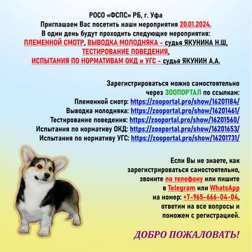 https://upforme.ru/uploads/0000/1c/6a/2372/t991846.jpg