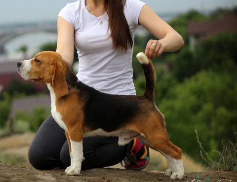 https://upforme.ru/uploads/0000/1c/6a/2819/t55110.jpg