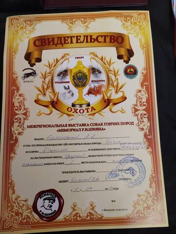 https://upforme.ru/uploads/0000/1c/6a/2863/t34314.jpg