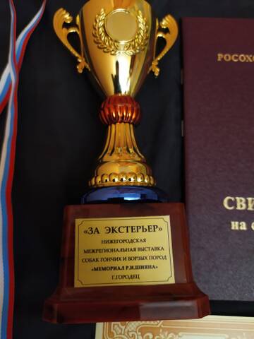 https://upforme.ru/uploads/0000/1c/6a/2863/t367195.jpg