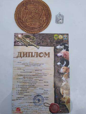 https://upforme.ru/uploads/0000/1c/6a/2863/t402415.jpg