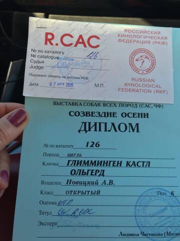 https://upforme.ru/uploads/0000/1c/6a/2863/t500131.jpg