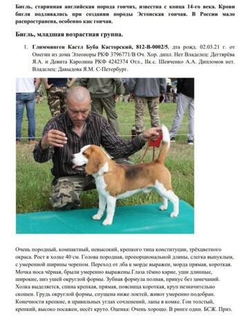 https://upforme.ru/uploads/0000/1c/6a/2863/t52309.jpg