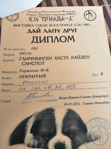 https://upforme.ru/uploads/0000/1c/6a/2863/t672930.jpg