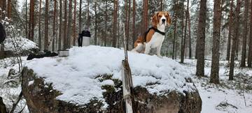 https://upforme.ru/uploads/0000/1c/6a/2863/t780250.jpg