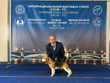 https://upforme.ru/uploads/0000/1c/6a/2863/t979079.jpg