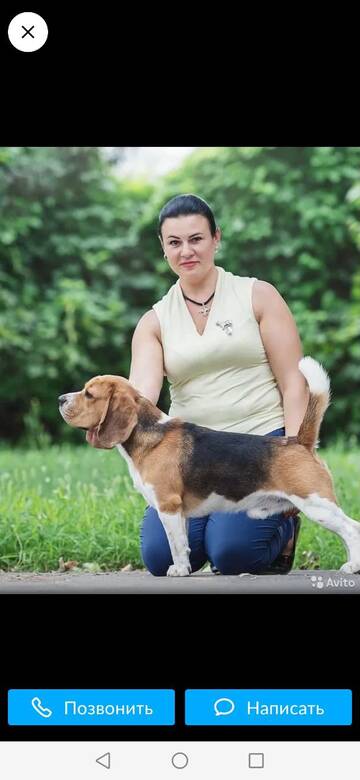 https://upforme.ru/uploads/0000/1c/6a/2881/t458473.jpg