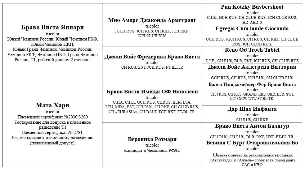 https://upforme.ru/uploads/0000/1c/6a/349/397410.png