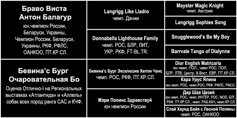 https://upforme.ru/uploads/0000/1c/6a/349/958787.jpg