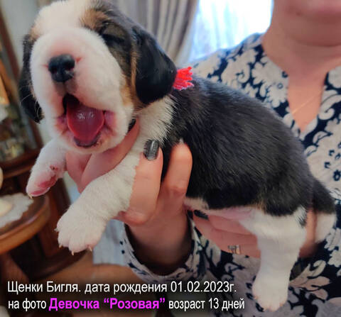 https://upforme.ru/uploads/0000/1c/6a/349/t119529.jpg