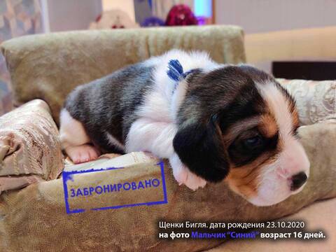 https://upforme.ru/uploads/0000/1c/6a/349/t206436.jpg