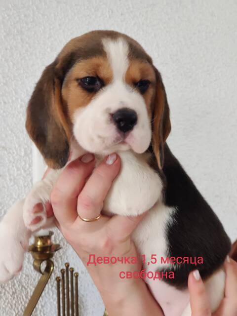 https://upforme.ru/uploads/0000/1c/6a/349/t259509.jpg