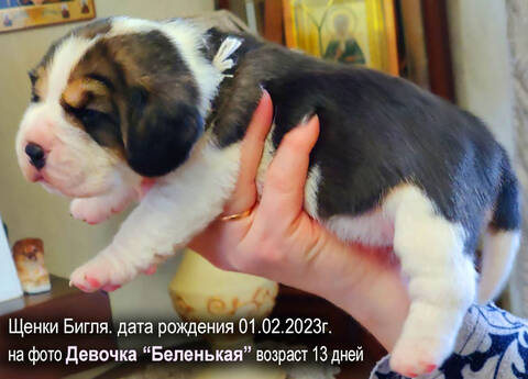 https://upforme.ru/uploads/0000/1c/6a/349/t737305.jpg
