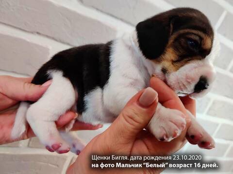 https://upforme.ru/uploads/0000/1c/6a/349/t823961.jpg