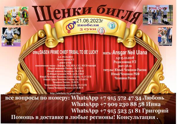 https://upforme.ru/uploads/0000/1c/6a/410/t193622.jpg