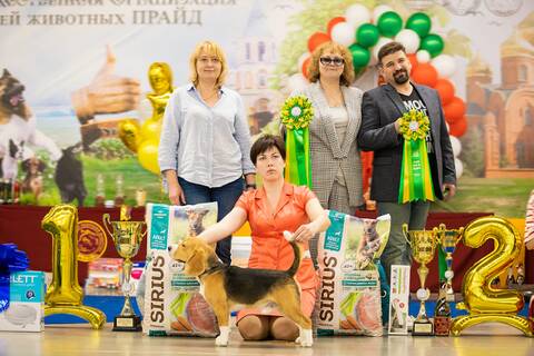 https://upforme.ru/uploads/0000/1c/6a/410/t332356.jpg