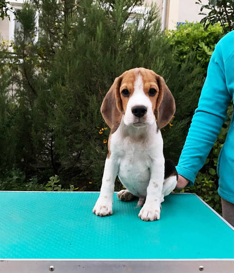 https://upforme.ru/uploads/0000/1c/6a/5555/t888866.jpg
