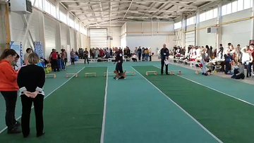 https://upforme.ru/uploads/0000/1c/6a/7544/t70491.png