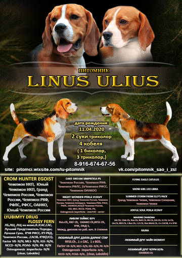 https://upforme.ru/uploads/0000/1c/6a/7544/t868776.jpg