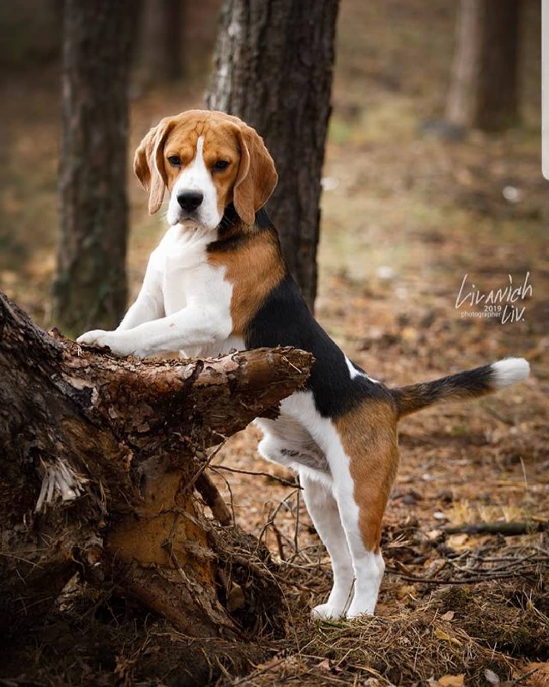 https://upforme.ru/uploads/0000/1c/6a/7884/53140.jpg