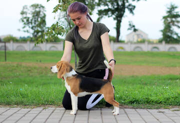 https://upforme.ru/uploads/0000/1c/6a/9805/t902601.jpg