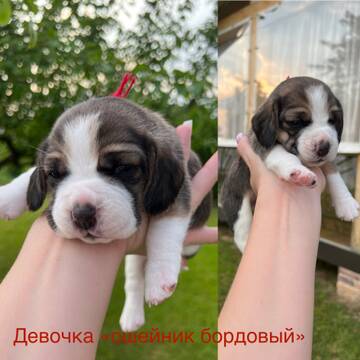 https://upforme.ru/uploads/0000/1c/6a/985/t428150.jpg