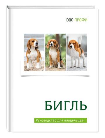 https://upforme.ru/uploads/0000/1c/6a/985/t602853.jpg