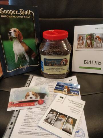 https://upforme.ru/uploads/0000/1c/6a/985/t726794.jpg
