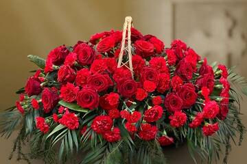https://upforme.ru/uploads/0000/24/7d/1479/t913842.jpg