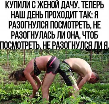 https://upforme.ru/uploads/0000/25/b8/819/t36456.jpg