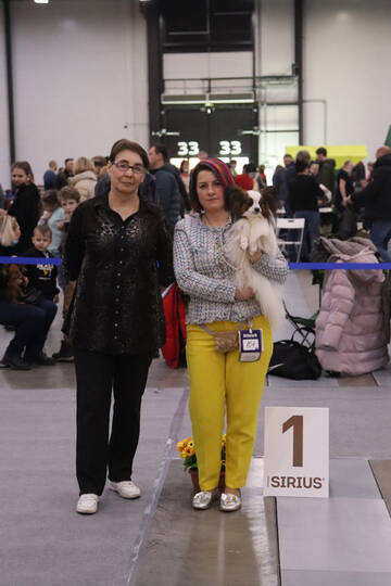 https://upforme.ru/uploads/0000/27/eb/1848/t160112.jpg