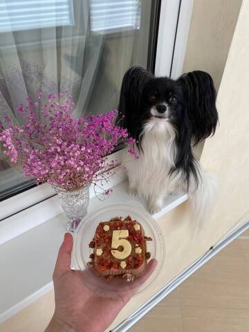 https://upforme.ru/uploads/0000/27/eb/1848/t174480.jpg