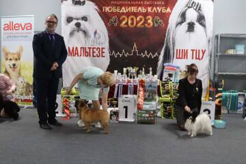 https://upforme.ru/uploads/0000/27/eb/1848/t187684.jpg