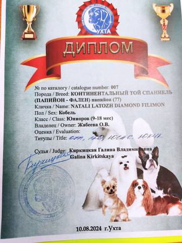 https://upforme.ru/uploads/0000/27/eb/1848/t219123.jpg
