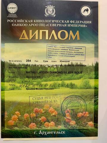 https://upforme.ru/uploads/0000/27/eb/1848/t222525.jpg