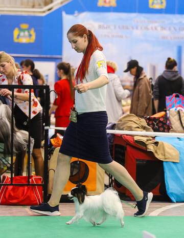 https://upforme.ru/uploads/0000/27/eb/1848/t228113.jpg