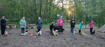 https://upforme.ru/uploads/0000/27/eb/1848/t240237.jpg