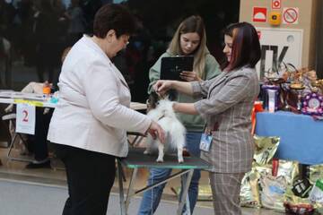 https://upforme.ru/uploads/0000/27/eb/1848/t28095.jpg