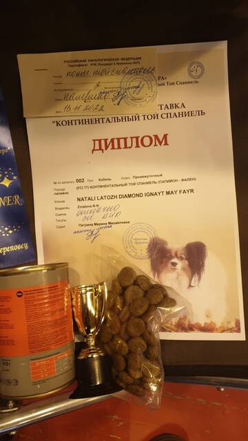 https://upforme.ru/uploads/0000/27/eb/1848/t305979.jpg