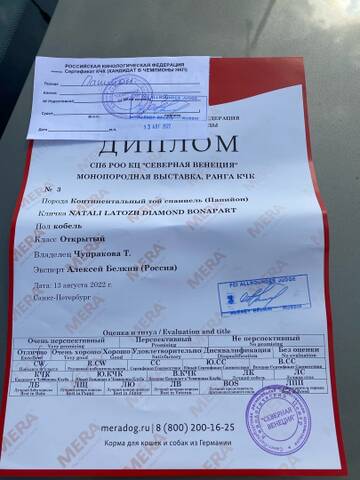 https://upforme.ru/uploads/0000/27/eb/1848/t306107.jpg