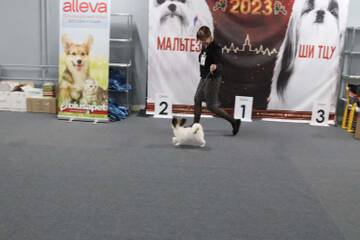 https://upforme.ru/uploads/0000/27/eb/1848/t367877.jpg