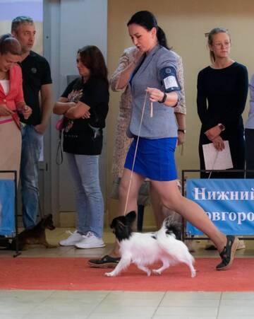 https://upforme.ru/uploads/0000/27/eb/1848/t397285.jpg